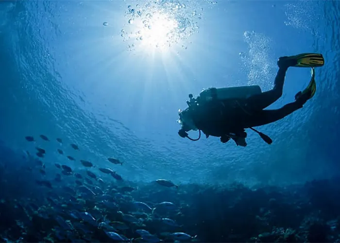 Mirador Canteras-auditorio Лас-Пальмас-де-Гран-Канарія