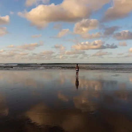 Mirador Canteras-auditorio * Las Palmas de Gran Canaria